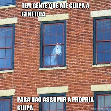 TEM GENTE QUE AT� CULPA A
GEN�TICA PARA NAO ASSUMIR A PROPRIA
CULPA
