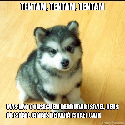 TENTAM, TENTAM, TENTAM MAS N�O CONSEGUEM DERRUBAR ISRAEL, DEUS
DE ISRAEL JAMAIS DEIXAR� ISRAEL CAIR