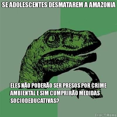 SE ADOLESCENTES DESMATAREM A AMAZONIA ELES N�O PODER�O SER PRESOS POR CRIME
AMBIENTAL E SIM CUMPRIR�O MEDIDAS
SOCIODEDUCATIVAS?