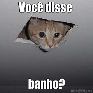 Voc� disse  banho?
