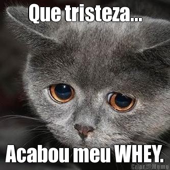 Que tristeza... Acabou meu WHEY.