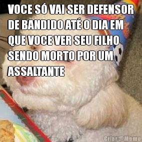VOCE S� VAI SER DEFENSOR
DE BANDIDO AT� O DIA EM
QUE VOCE VER SEU FILHO
SENDO MORTO POR UM
ASSALTANTE
 