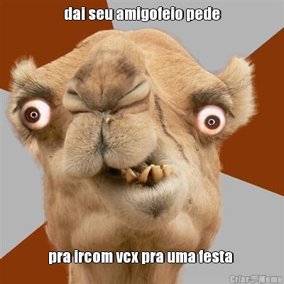 dai seu amigofeio pede pra ircom vcx pra uma festa 