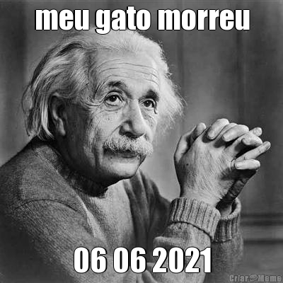 meu gato morreu 06 06 2021