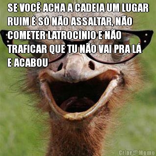SE VOC� ACHA A CADEIA UM LUGAR
RUIM � S� N�O ASSALTAR, N�O
COMETER LATROC�NIO E N�O
TRAFICAR QUE TU N�O VAI PRA L�
E ACABOU 
