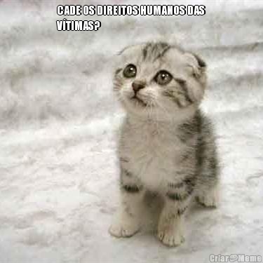 CADE OS DIREITOS HUMANOS DAS
V�TIMAS? 