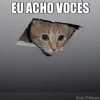 EU ACHO VOC�S 