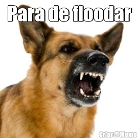 Para de floodar 