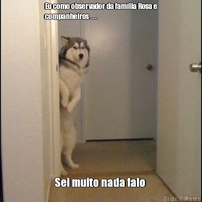 Eu como observador da fam�lia Rosa e
companheiros ..... Sei muito nada falo 