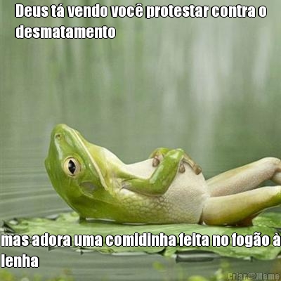 Deus t� vendo voc� protestar contra o
desmatamento mas adora uma comidinha feita no fog�o �
lenha