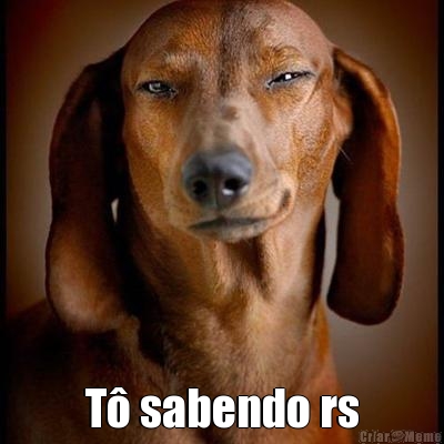  T� sabendo rs