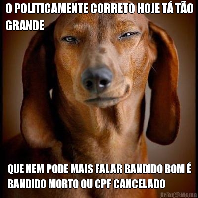 O POLITICAMENTE CORRETO HOJE T� T�O
GRANDE QUE NEM PODE MAIS FALAR BANDIDO BOM �
BANDIDO MORTO OU CPF CANCELADO