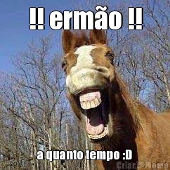 !! erm�o !! a quanto tempo :D
