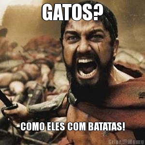 GATOS? COMO ELES COM BATATAS!