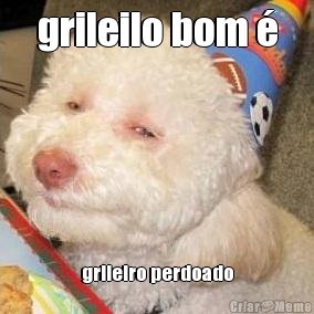 grileilo bom � grileiro perdoado