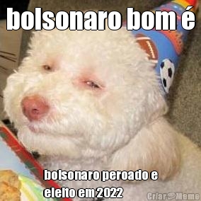 bolsonaro bom � bolsonaro peroado e
eleito em 2022