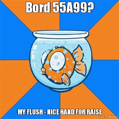Bord 55A99? MY FLUSH - NICE HAND FOR RAISE