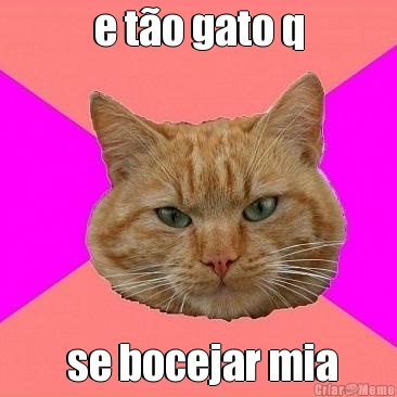 e t�o gato q  se bocejar mia