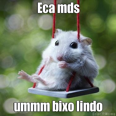 Eca mds ummm bixo lindo