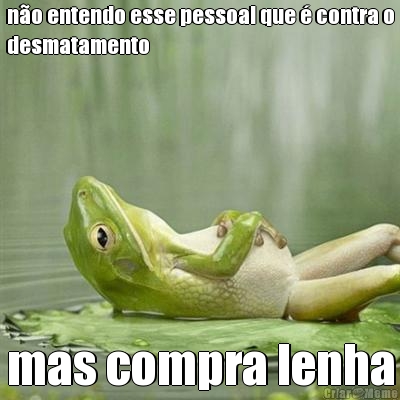 n�o entendo esse pessoal que � contra o
desmatamento mas compra lenha