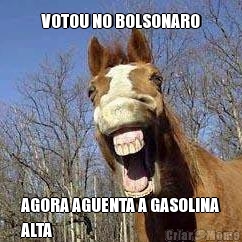 VOTOU NO BOLSONARO AGORA AGUENTA A GASOLINA
ALTA