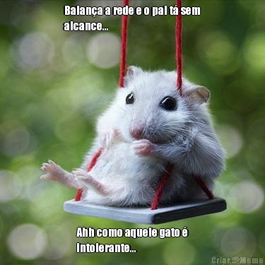 Balan�a a rede e o pai t� sem
alcance... Ahh como aquele gato �
intolerante...