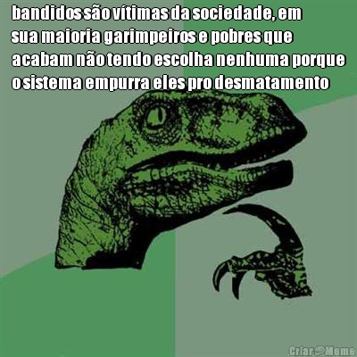 bandidos s�o v�timas da sociedade, em
sua maioria garimpeiros e pobres que
acabam n�o tendo escolha nenhuma porque
o sistema empurra eles pro desmatamento 