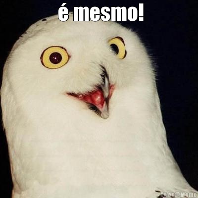  � mesmo! 