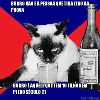 BURRO N�O � A PESSOA QUE TIRA ZERO NA
PROVA BURRO � AQUELE QUE TEM 10 FILHOS EM
PLENO S�CULO 21