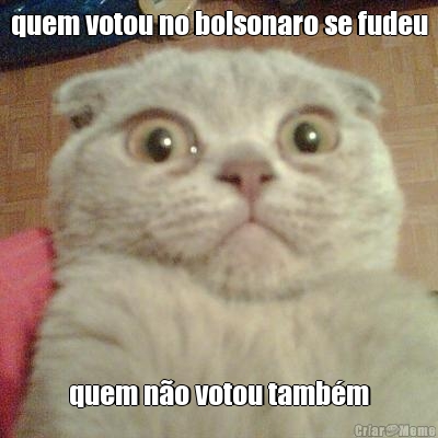 quem votou no bolsonaro se fudeu quem n�o votou tamb�m