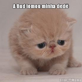 A Bud tomou minha ded� 