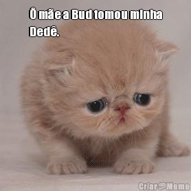 � m�e a Bud tomou minha
Ded�.
 