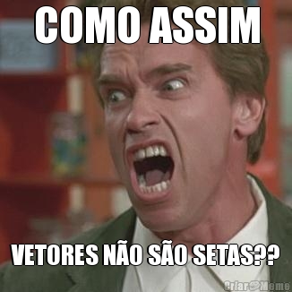 COMO ASSIM VETORES N�O S�O SETAS??