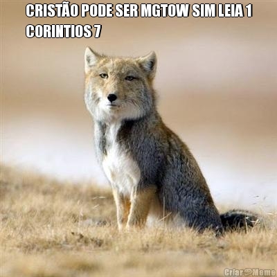 CRIST�O PODE SER MGTOW SIM LEIA 1
CORINTIOS 7 