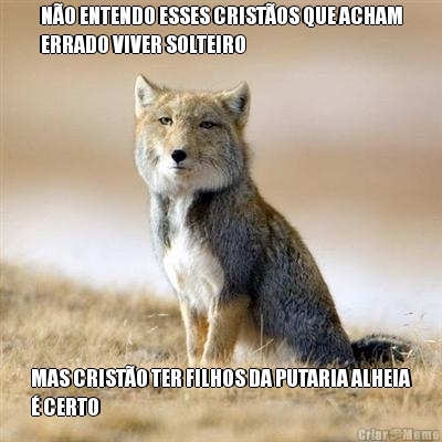 N�O ENTENDO ESSES CRIST�OS QUE ACHAM
ERRADO VIVER SOLTEIRO MAS CRIST�O TER FILHOS DA PUTARIA ALHEIA
� CERTO