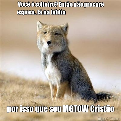 Voc� � solteiro? Ent�o n�o procure
esposa.. t� na b�blia por isso que sou MGTOW Crist�o