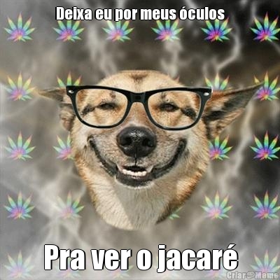 Deixa eu por meus �culos Pra ver o jacar�