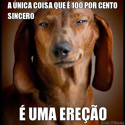 A �NICA COISA QUE � 100 POR CENTO
SINCERO � UMA ERE��O