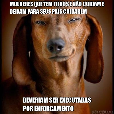 MULHERES QUE TEM FILHOS E N�O CUIDAM E
DEIXAM PARA SEUS PAIS CUIDAREM DEVERIAM SER EXECUTADAS
POR ENFORCAMENTO