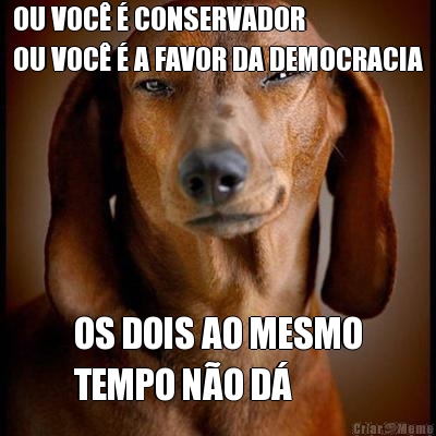 OU VOC� � CONSERVADOR
OU VOC� � A FAVOR DA DEMOCRACIA OS DOIS AO MESMO
TEMPO N�O D�