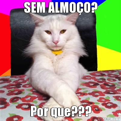 SEM ALMO�O? Por que???