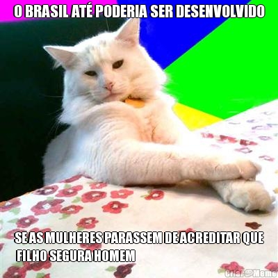 O BRASIL AT� PODERIA SER DESENVOLVIDO SE AS MULHERES PARASSEM DE ACREDITAR QUE
 FILHO SEGURA HOMEM