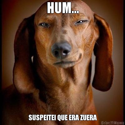 HUM... SUSPEITEI QUE ERA ZUERA