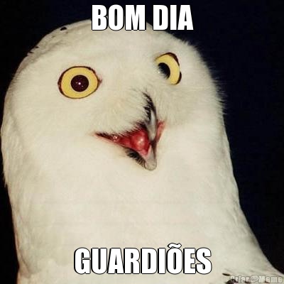 BOM DIA GUARDI�ES