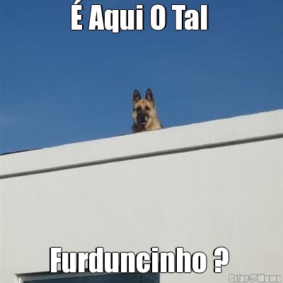 � Aqui O Tal  Furduncinho ? 