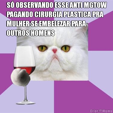 S� OBSERVANDO ESSE ANTI MGTOW
PAGANDO CIRURGIA PLASTICA PRA
MULHER SE EMBELEZAR PARA
OUTROS HOMENS 