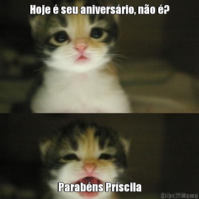 Hoje � seu anivers�rio, n�o �? Parab�ns Pr�scila