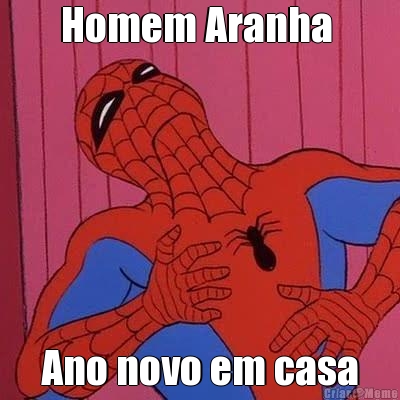 Homem Aranha  Ano novo em casa