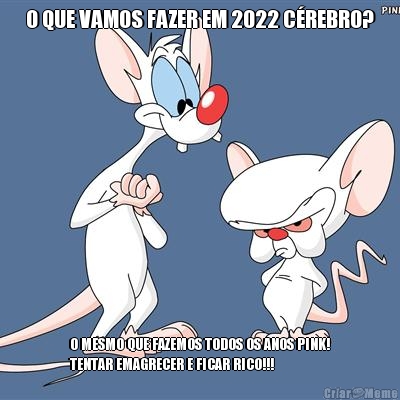 O QUE VAMOS FAZER EM 2022 C�REBRO? O MESMO QUE FAZEMOS TODOS OS ANOS PINK!
TENTAR EMAGRECER E FICAR RICO!!!