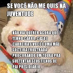 SE VOC� N�O ME QUIS NA
JUVENTUDE N�O VAI QUERER AGORA QUE
TENHO CARRO, CASA E
CARREIRA E VOC� � UMA M�E
SOLTEIRA FRUSTRADA
PROCURANDO UM TOUXA PRA
SUSTENTAR SEUS FILHOS DE
PAI PRESIDI�RIO